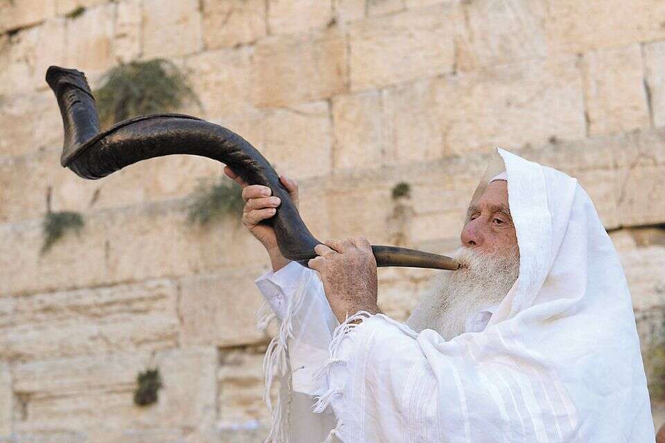 תקיעת השופר , Mark Neyman
