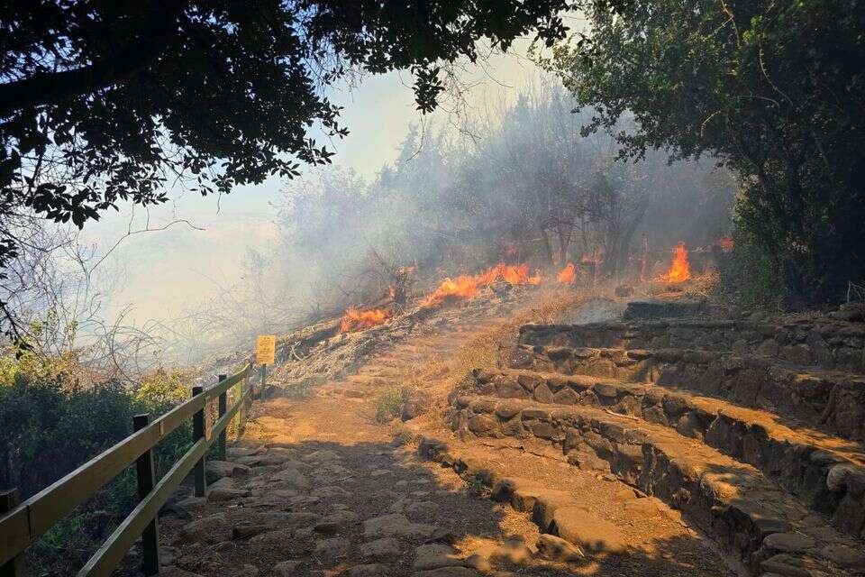 שריפה בתל דן , רשות הטבע והגנים