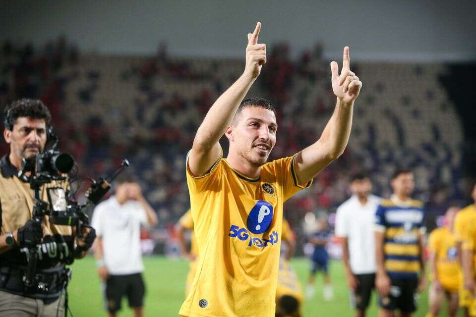 אושר דוידה , עמי שומן