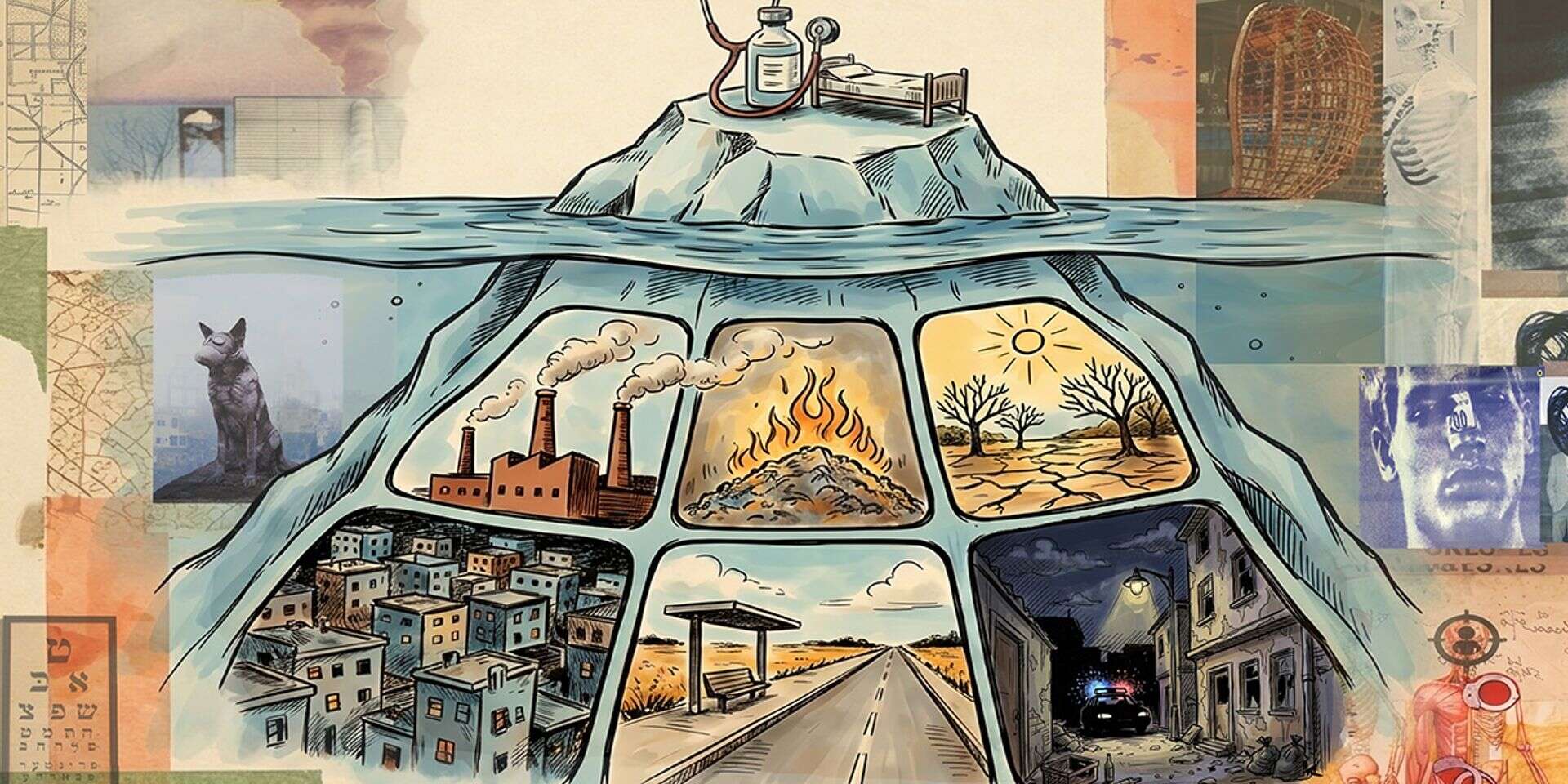 החצר האחורית של הבריאות , שלומי צ'רקה