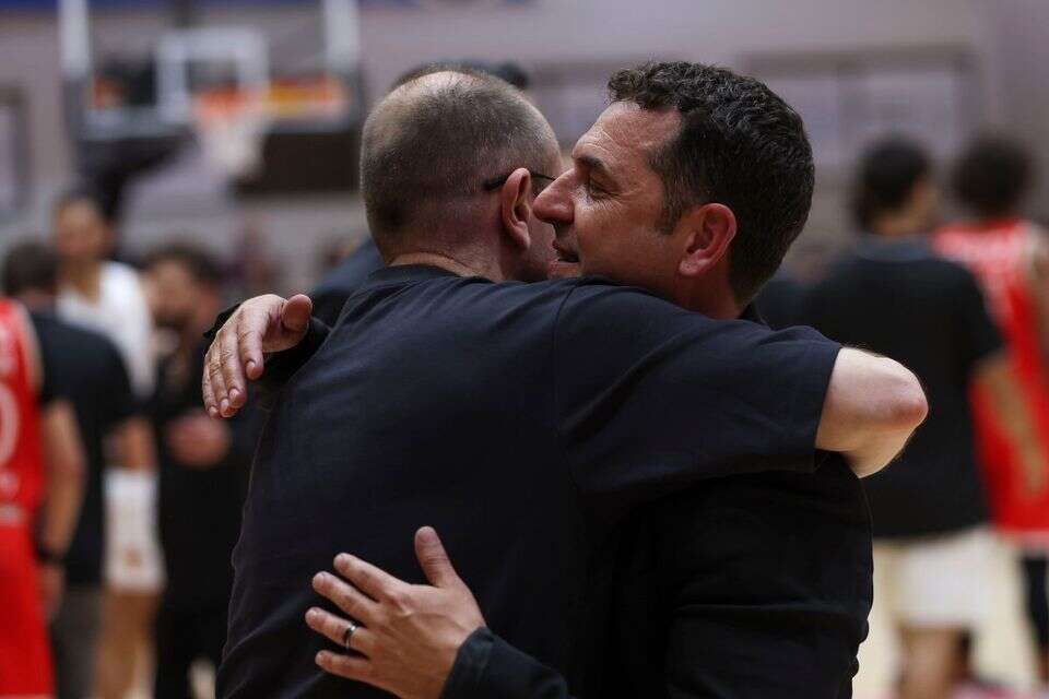 יונתן אלון ודן שמיר  , מאור אלקסלסי