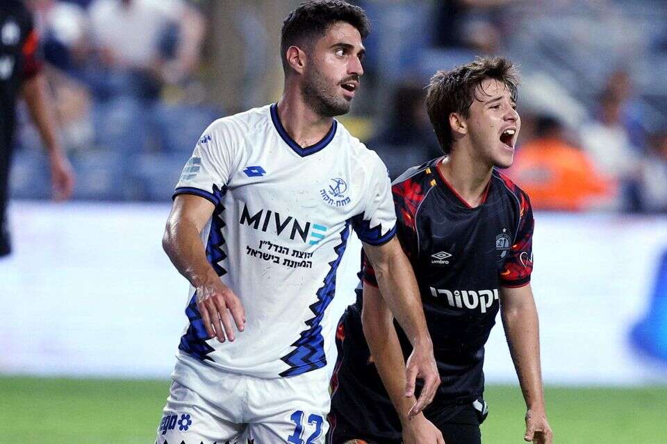 איתי חזות וסתיו ישראלי , אלן שיבר