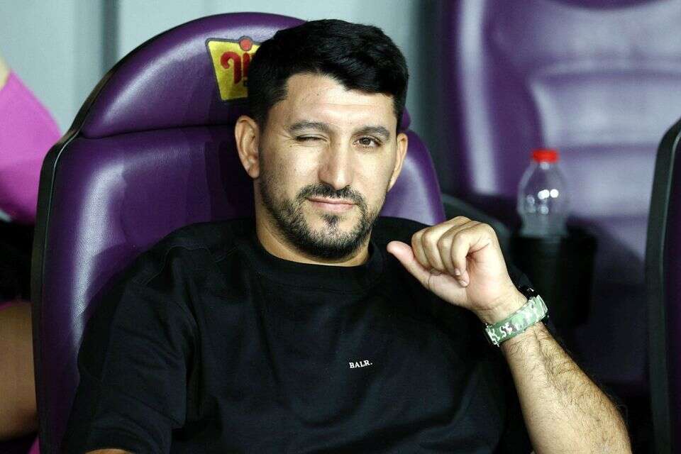 אלמוג כהן , אלן שיבר