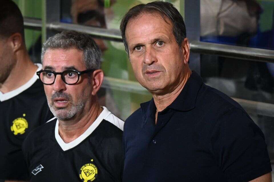 רוני לוי , ברני ארדוב