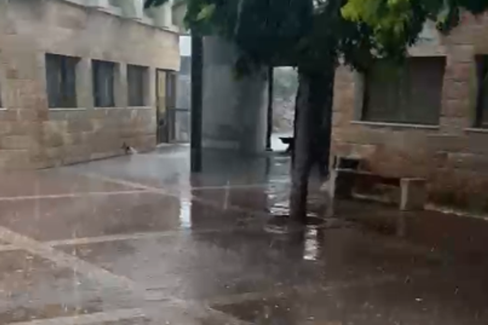 גשם בעכו , 27א'