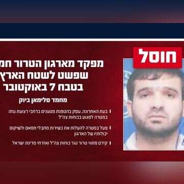 חיסול מחבל בחאן יונס , דובר צה"ל