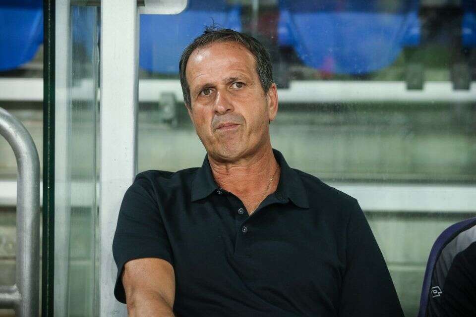 רוני לוי , עמי שומן