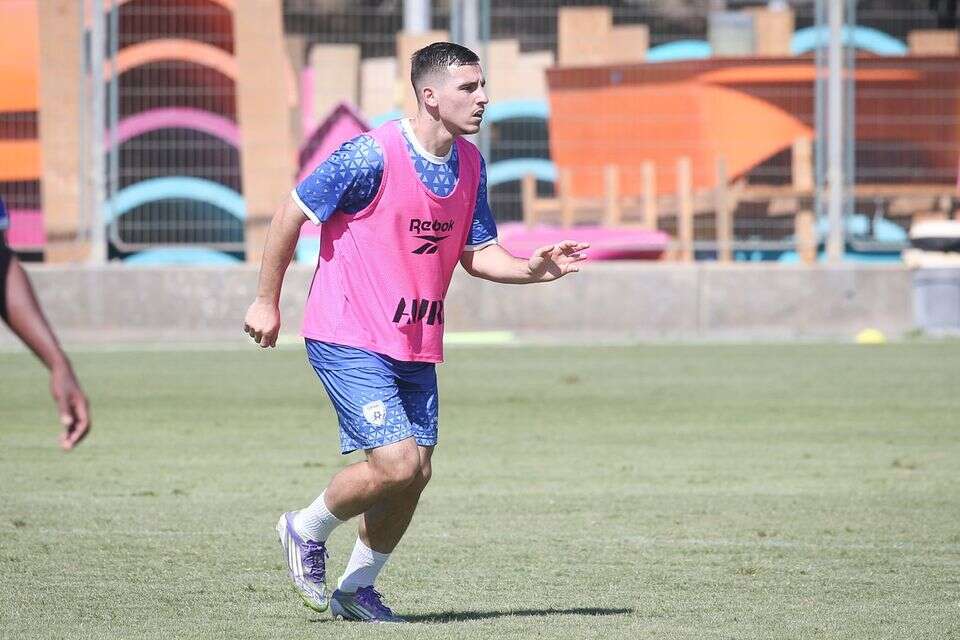 אוסקר גלוך , עמי שומן