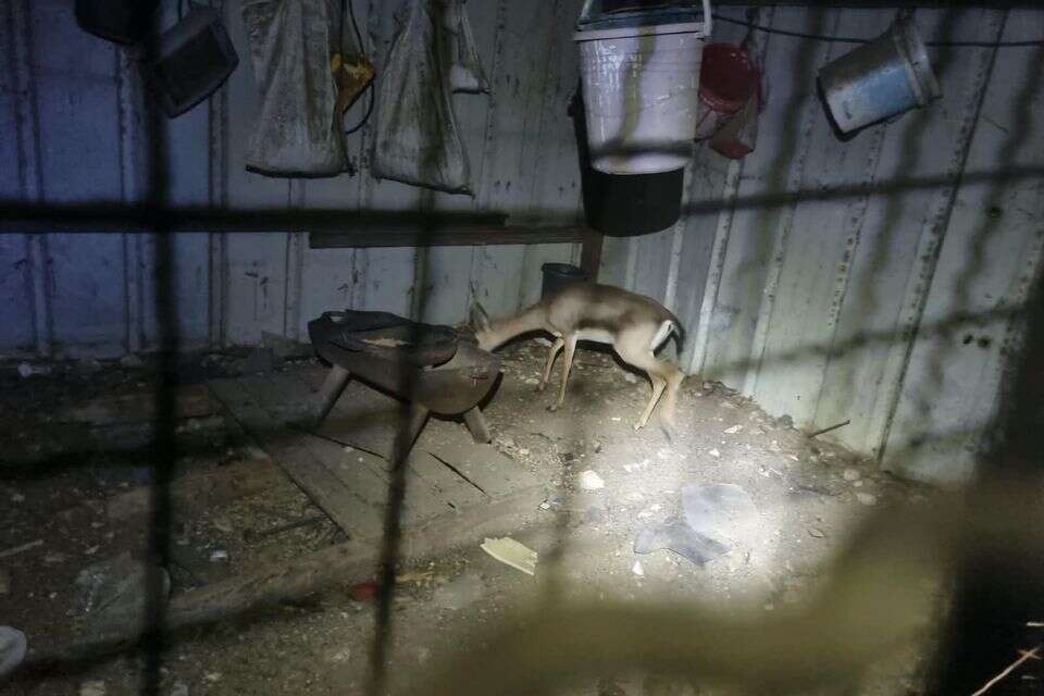 הצביה שנמצאה בכפר אידנא , דוברות המשטרה
