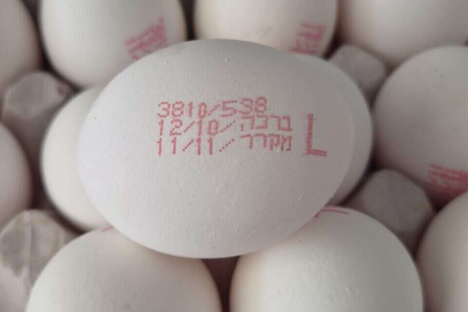 עשרות אלפי ביצים נתפסו בדרך לירושלים , צילום באדיבות משרד החקלאות וביטחון המזון