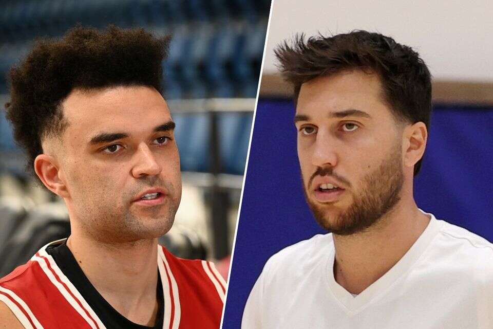 תמיר בלאט, אלייז'ה בראיינט , אלן שיבר, ברני ארדוב