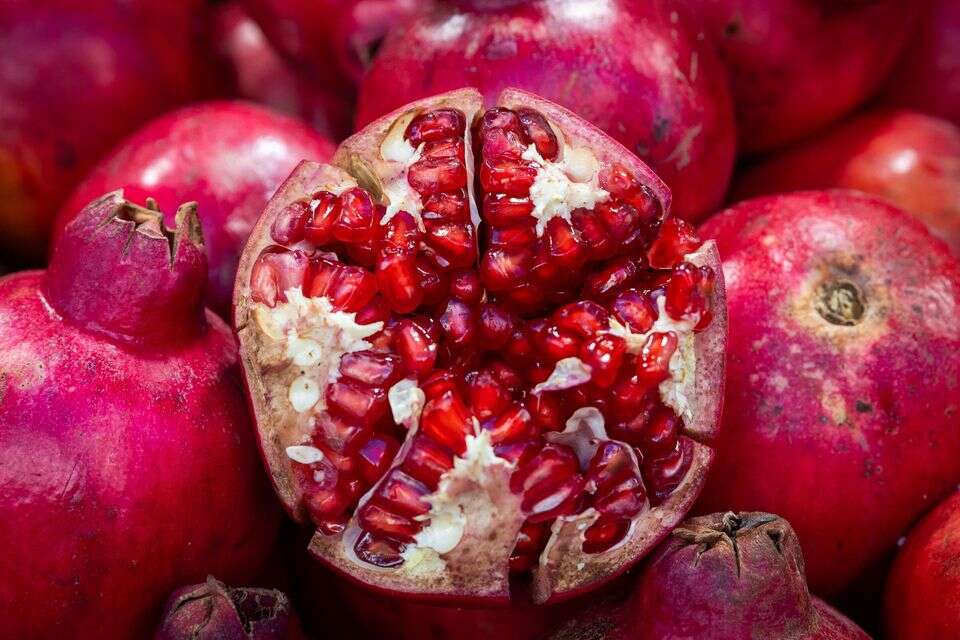 בין הפרי לקליפה. רימון , אורן בן חקון