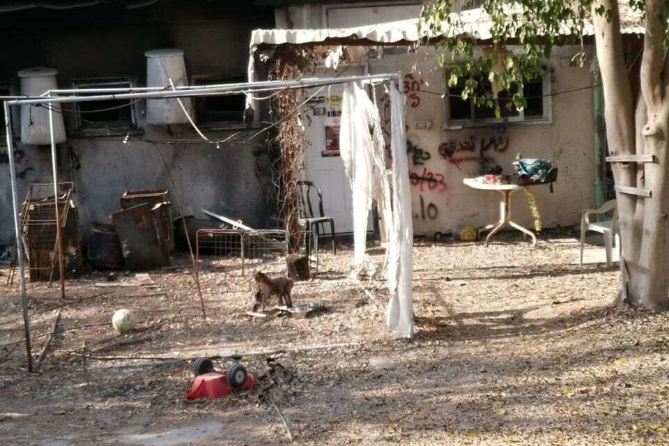 שרידי סוכה בביתו של החלל השב תמיר אדר ז"ל , עדי נגב