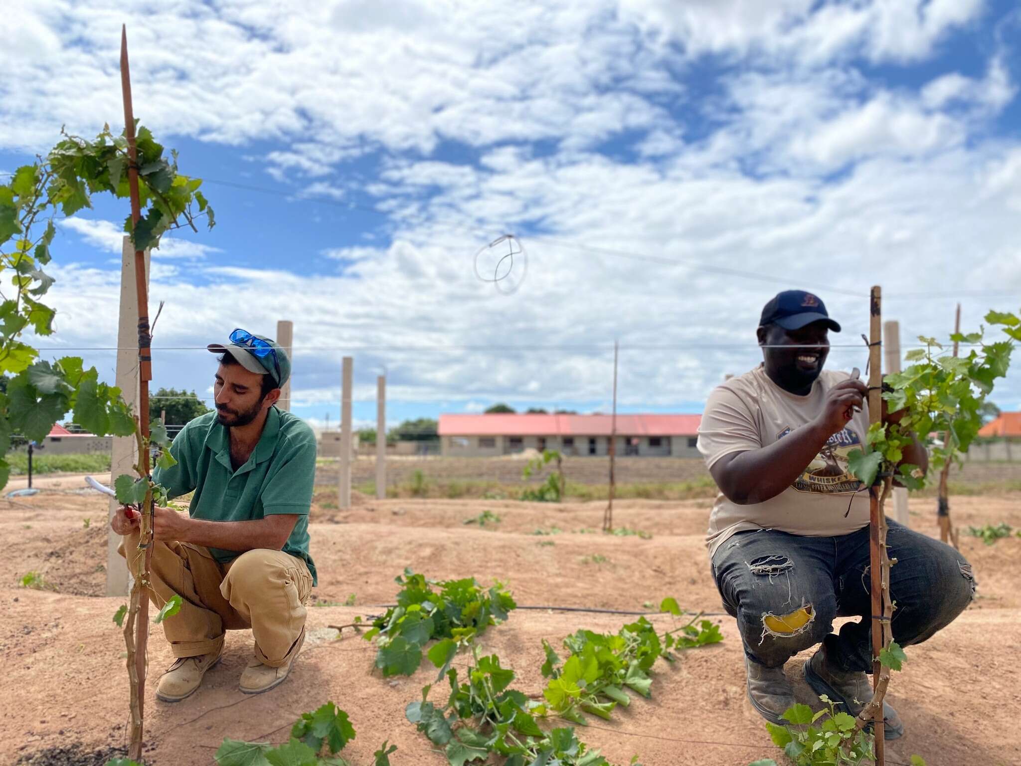 The Quiet Agricultural Revolution of Israelis in Tanzania