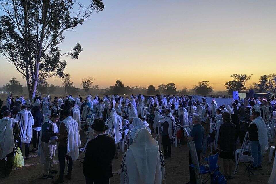 תמונת ארכיון משנה שעברה במתחם הנובה ברעים , יח"צ