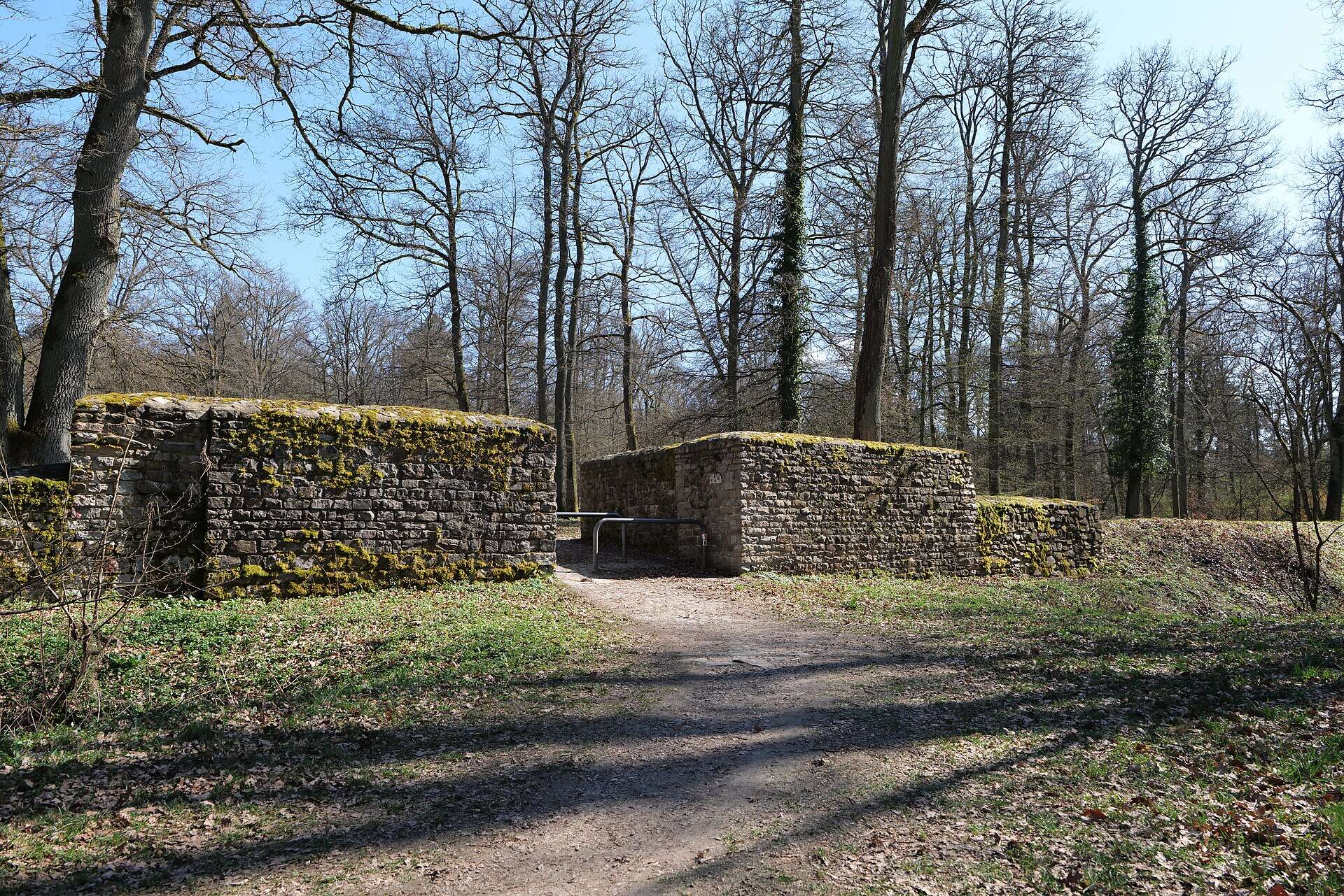 A storm in Germany has uncovered an ancient Roman temple in the heart of the forest