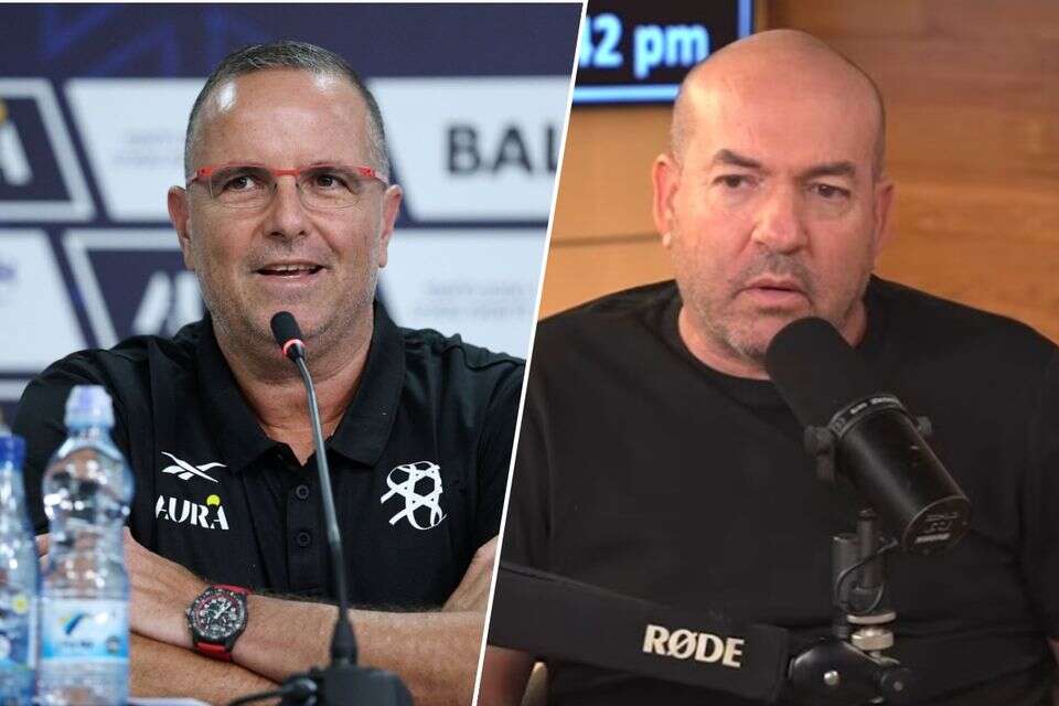 אייל ברקוביץ' ורן בן שמעון , אלן שיבר