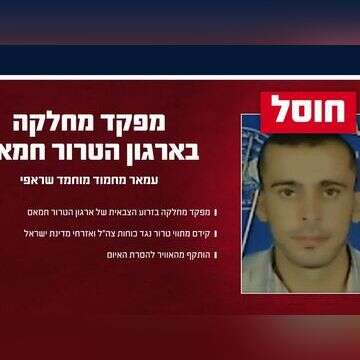 המחבל שחוסל , דובר צה"ל