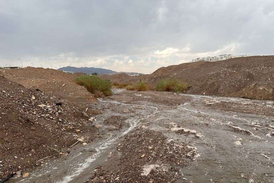 נחל שחמון , נועם אימברמן אשכנזי, רשות הטבע והגנים