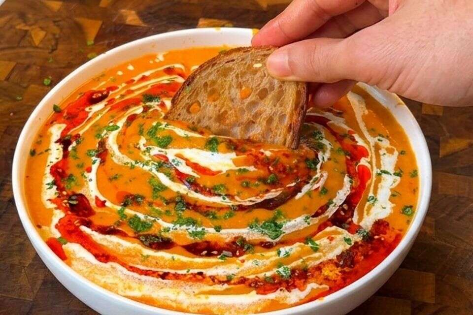 מרק דלורית וירקות שורש טבעוני , שימוש לפי סעיף 27א לחוק זכויות יוצרים