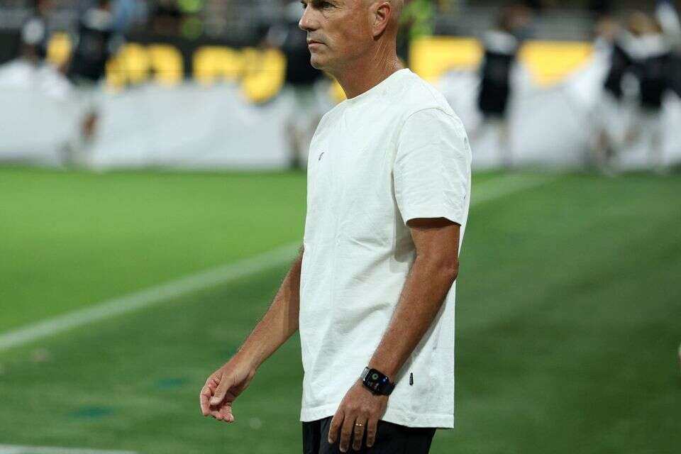זיו אריה , אלן שיבר