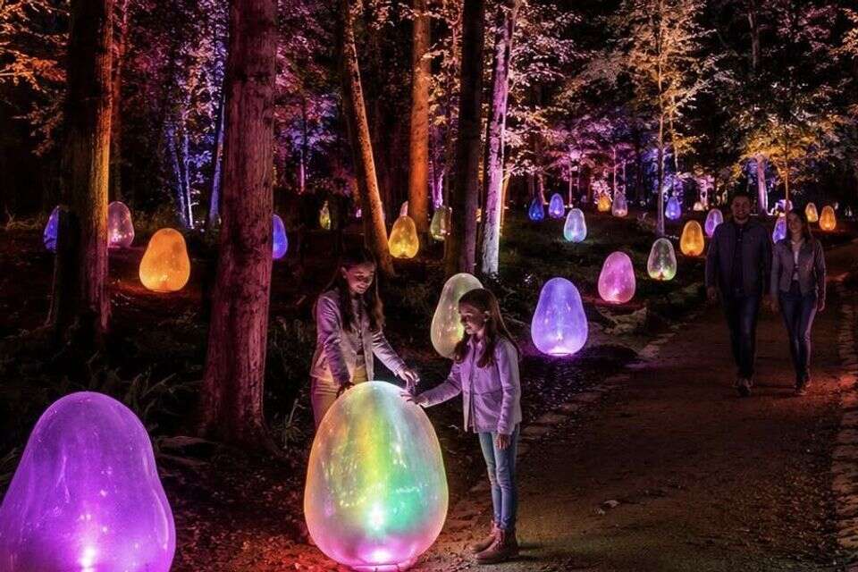 פסטיבל האור , MK Illumination