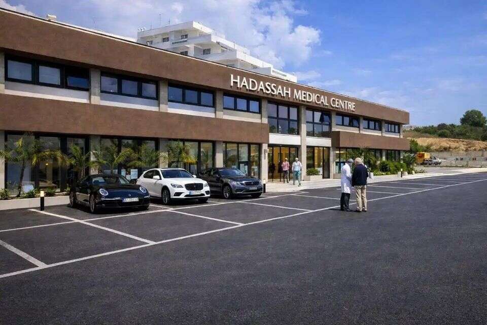 הדסה בקפריסין , הדסה