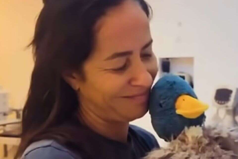 המאבק של עינת ארליך , אינסטגרם