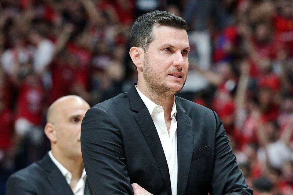 גיא פניני , אלן שיבר