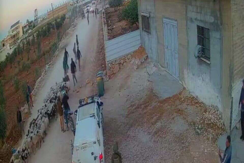 לעיני החיילים: פורעים גנבו עדר כבשים מפלסטינים - ועזבו , 27א'