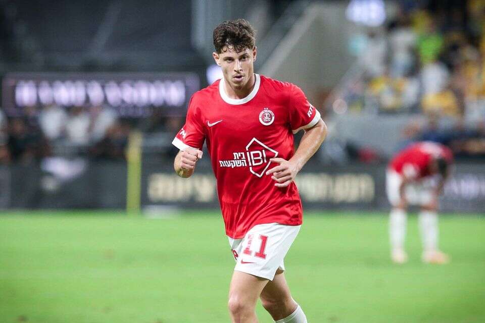 סתיו טוריאל. מחפש את דרכו , עמי שומן