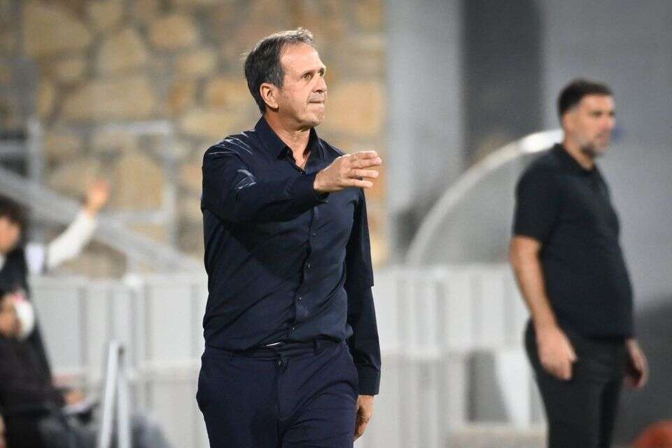 רוני לוי , ברני ארדוב