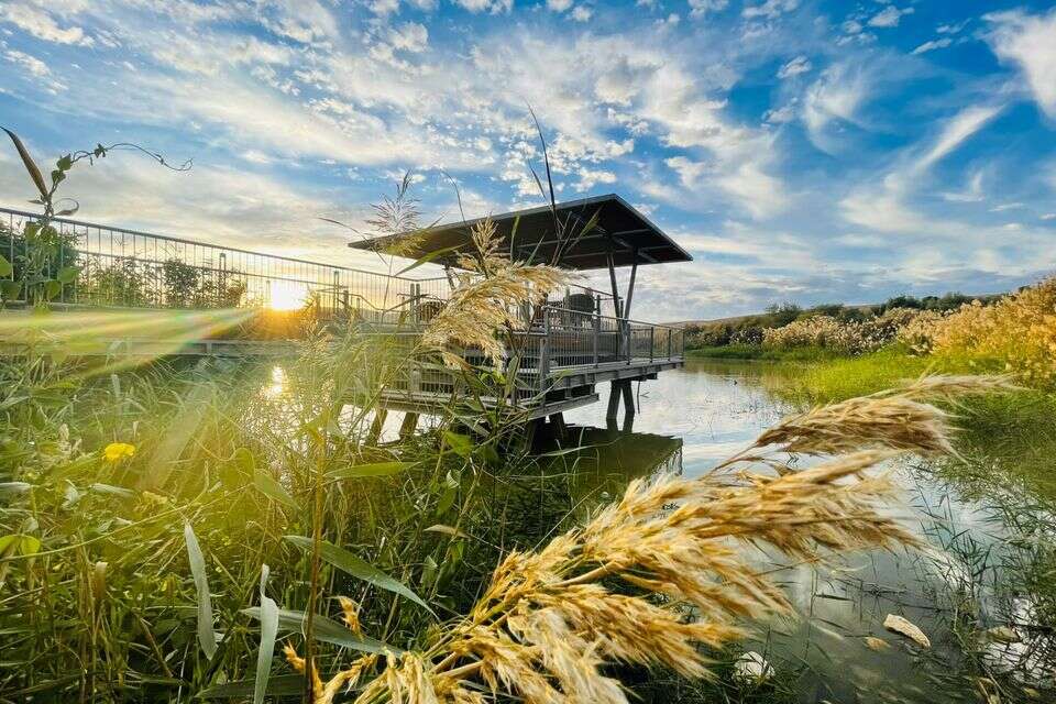 אגם ירוחם , אסף דהן