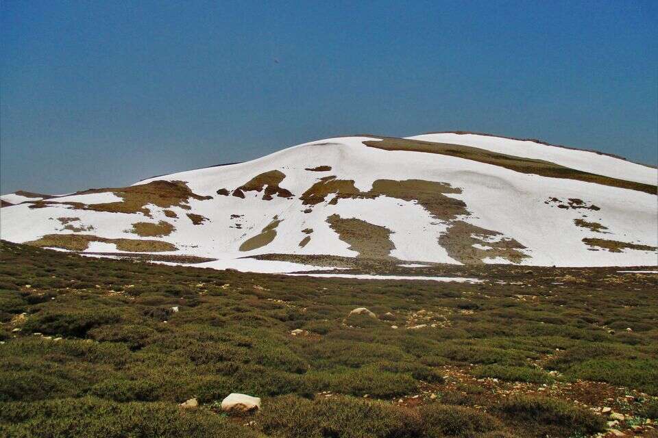 קורנת א-סוודא, ההר הגבוה ביותר בלבנון , Hachoumi92 / Wikimedia